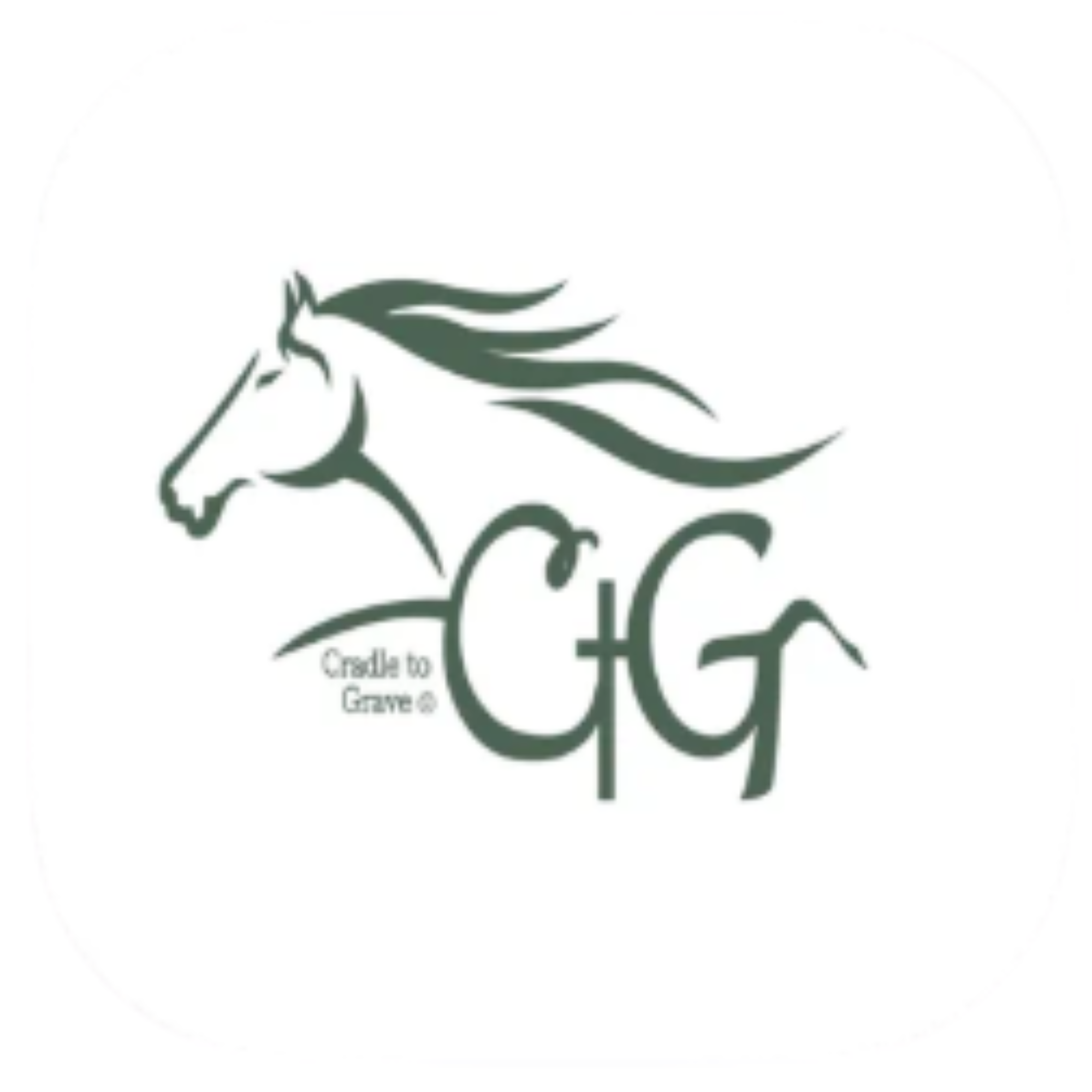 CtG Horse Management & Sales